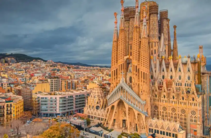 Barcelona Global Allergy School